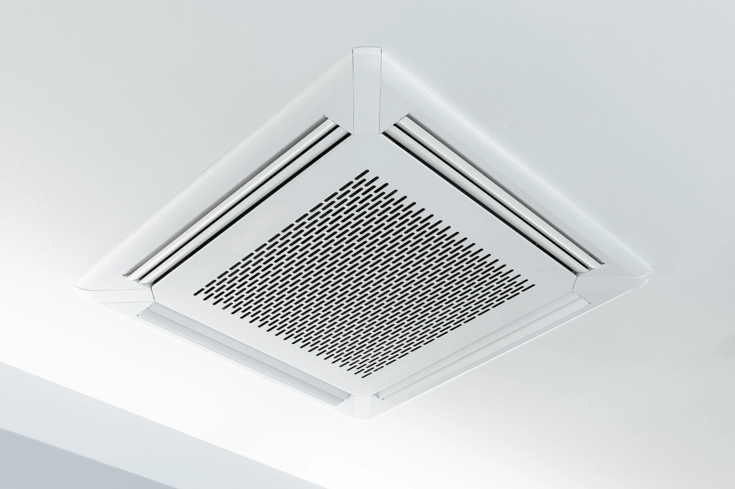 AdobeStock_1723129546