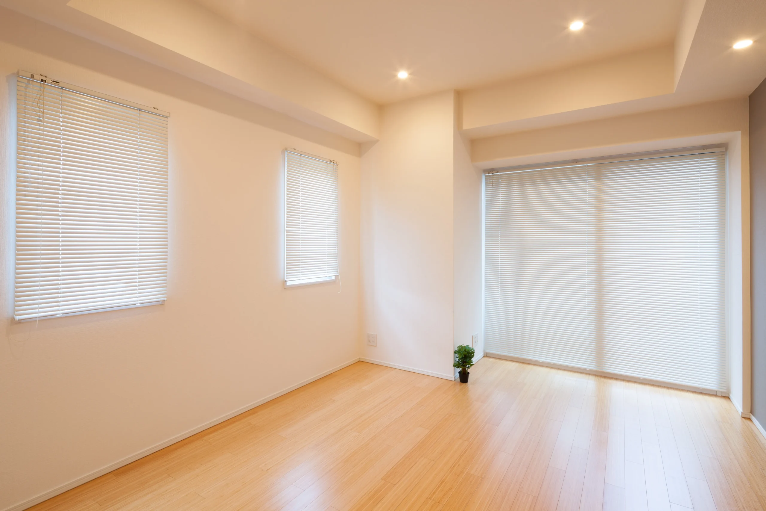 AdobeStock_238205614