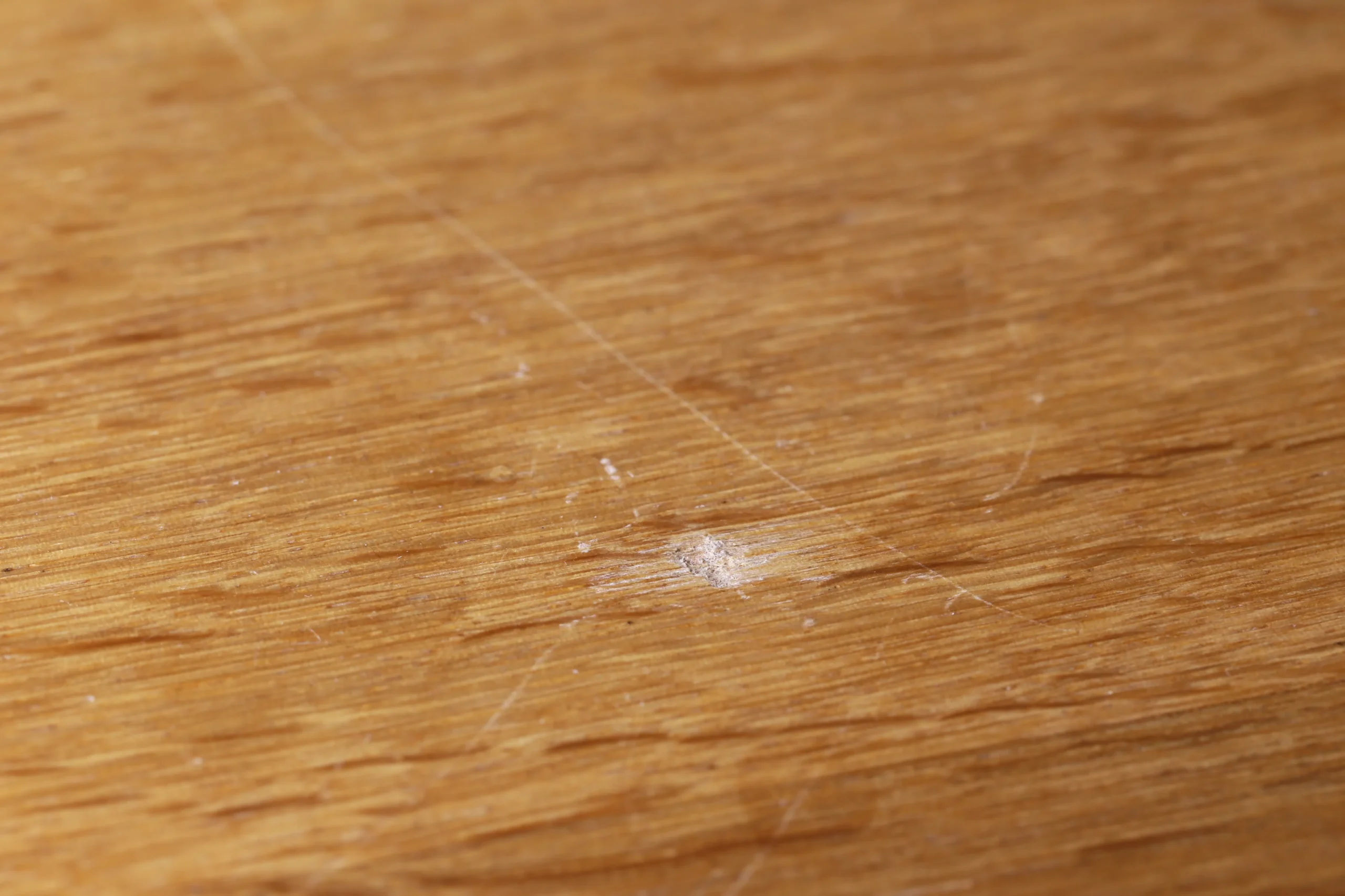 AdobeStock_250583622